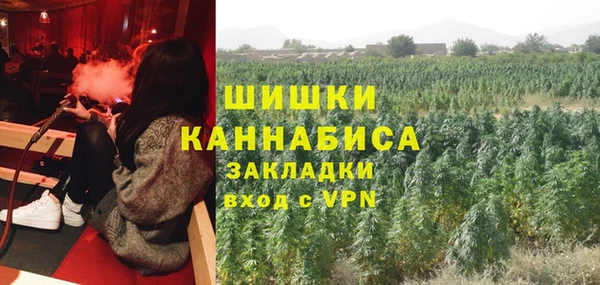 скорость Ельня