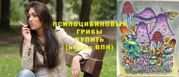 бутират Елизово
