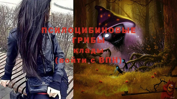 скорость Ельня