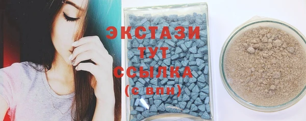 скорость Ельня