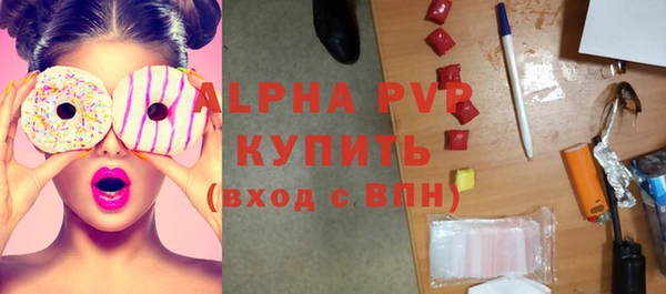 скорость Ельня